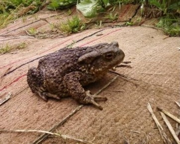 ������ ������ � ����� ����: ��� ���������� � ������� ������