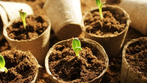 ������ ����� �� �����: ��� ��� ��������� ������� �������� ���� �������