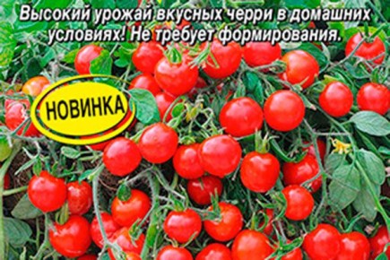 ������ ���������: ��� ��������� ��������� ���� �� ������� � � ����