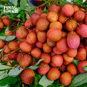 ��������� � ����������� ��� ��������: ��� ��� �� �������� �������