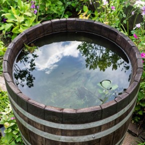 ��� �������� ���� ����� � ����� �� ������ �������