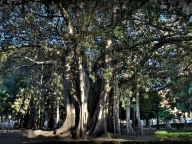 ����� �������������� � �������: ��� ������ ���������� ��������� �������