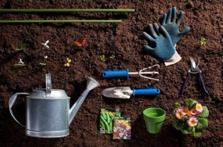 весенние садовые ухищрения, которые не стоит повторять