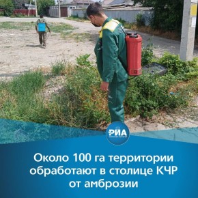 ��������� ���������� ���������� � 2021 ���� ������� ��������������� �������� ������� � ��������� ��� ����������� �� 15�20%