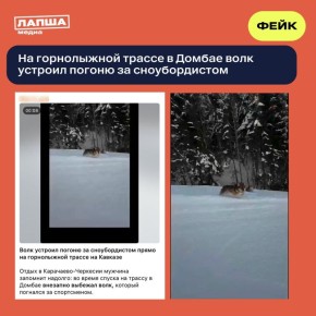 � �������� ���������������� ���������� �����