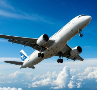 ����� �� 12 ��� � ������� ����� ������������� ����� ����� � ���������