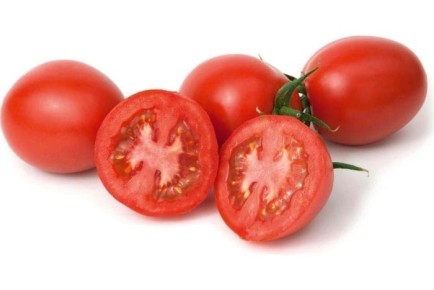 ����� ��������: ��������� ������� � �����, ������ � ������ � ������