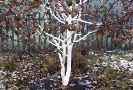 ������� ������� ��������: ��� ������� ������ � ����� ��� �����