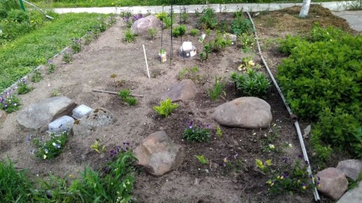 ��������� � ����������: ������� �������� � ������ ����� � �������