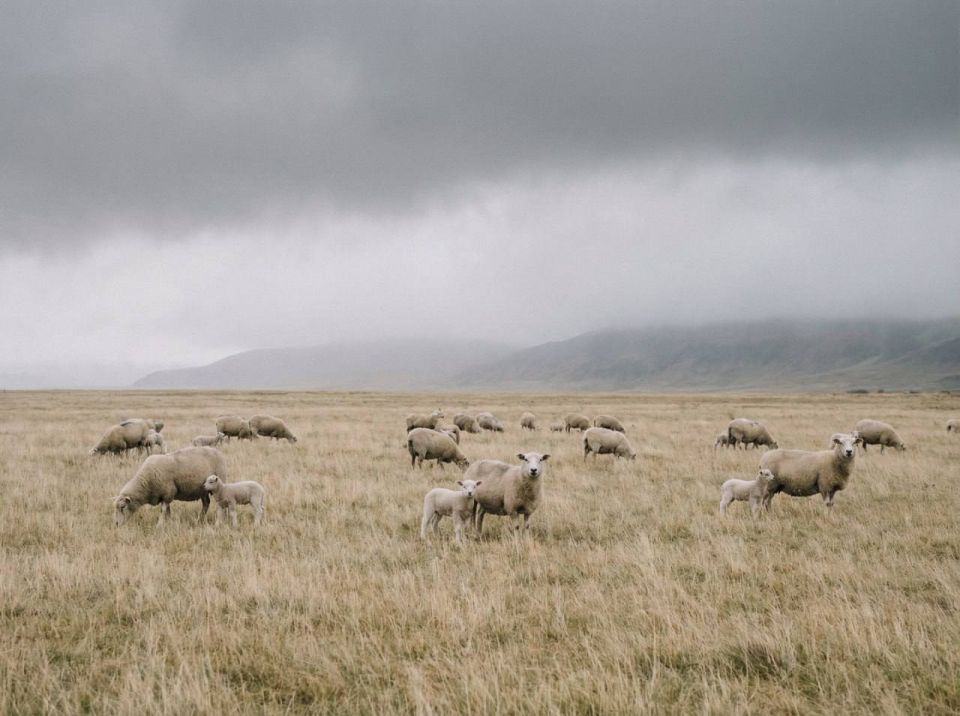 ������ �� ��� ������ 366 ���� � ���� ���������� ���������� ����