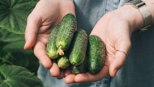 ������ �������� � ������������ ����� �����: ��� ��� �� ������ ����� �������