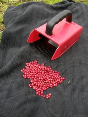 ����� ��� ������: ��� ������� ������, �� �������� �������?