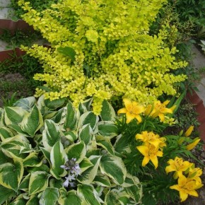 ��� ��� �����: ��� ������� ������������ � ����������� ������