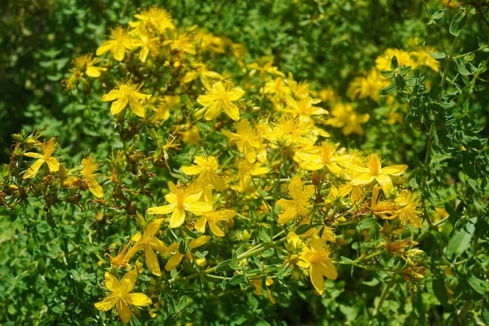 ������� ���������: ��� ��������� �������� � ������� �������