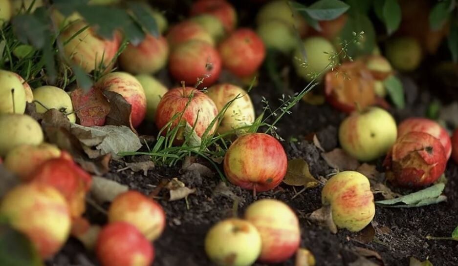 ������ ������ ������� ������ �������: ������� ������� � ������������