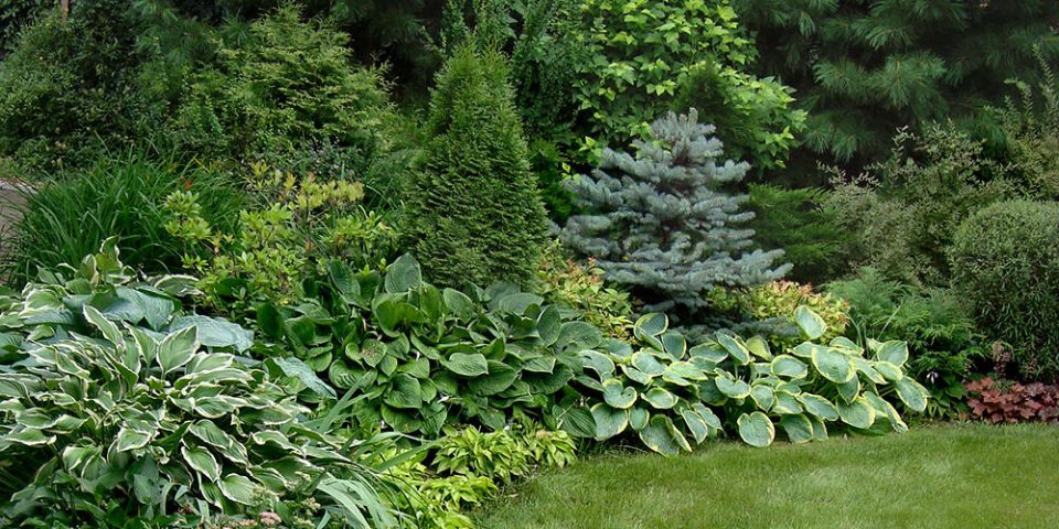 �����, ������� �������� ��� � ����: ���-15 �������� ��� ���������� �������