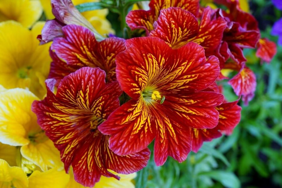 ��� ��������� �������������: �� ����� �� ������� � ����� ����