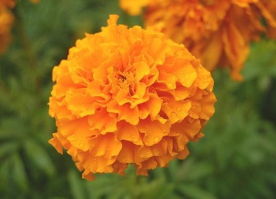 ��� �������� �������� �� ���� � ��������� �� ������� �� ����