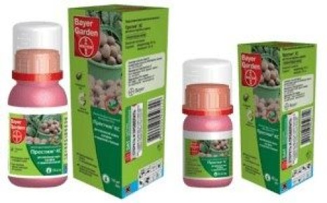 ��� �������� �������� �������� ����� ������ � ����������� ����� � ������� �����������