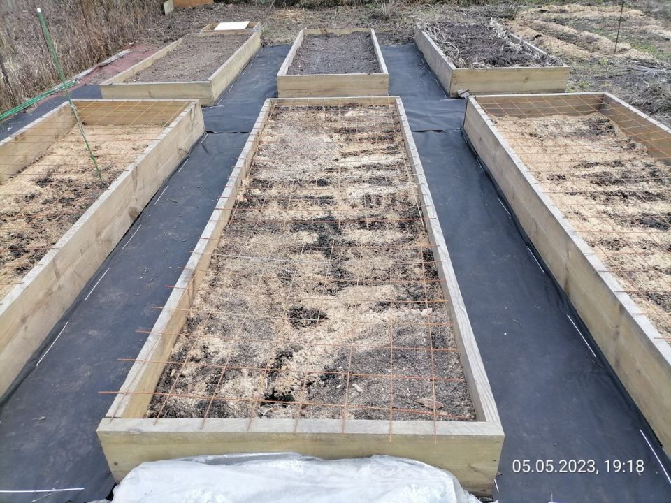 ������ � ������� ��� ������������: ��� ��� ����������?