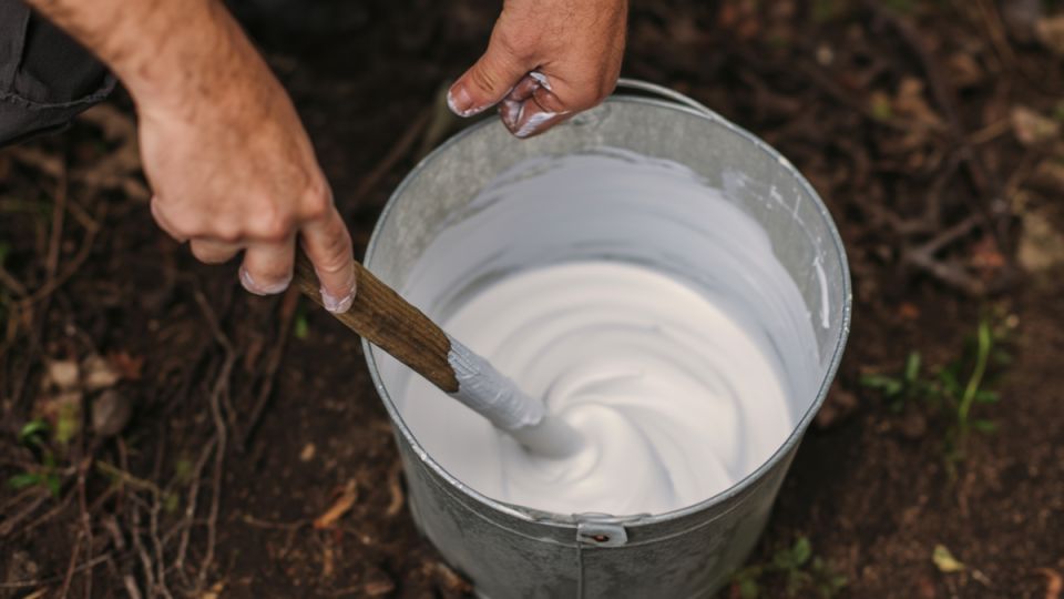 Как добиться долговечной побелки деревьев: секреты и рецепты