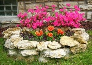 Создайте роскошный розарий на своем участке: советы по выбору и дизайну