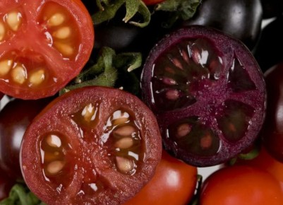 Опасные томаты: почему стоит быть осторожным с гибридами и биколорами