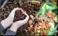 Развенчиваем привычные мифы о компостировании