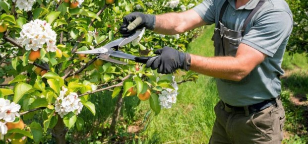 ��� ��������� �������� ������, ����� � ����� ��� ������� ������