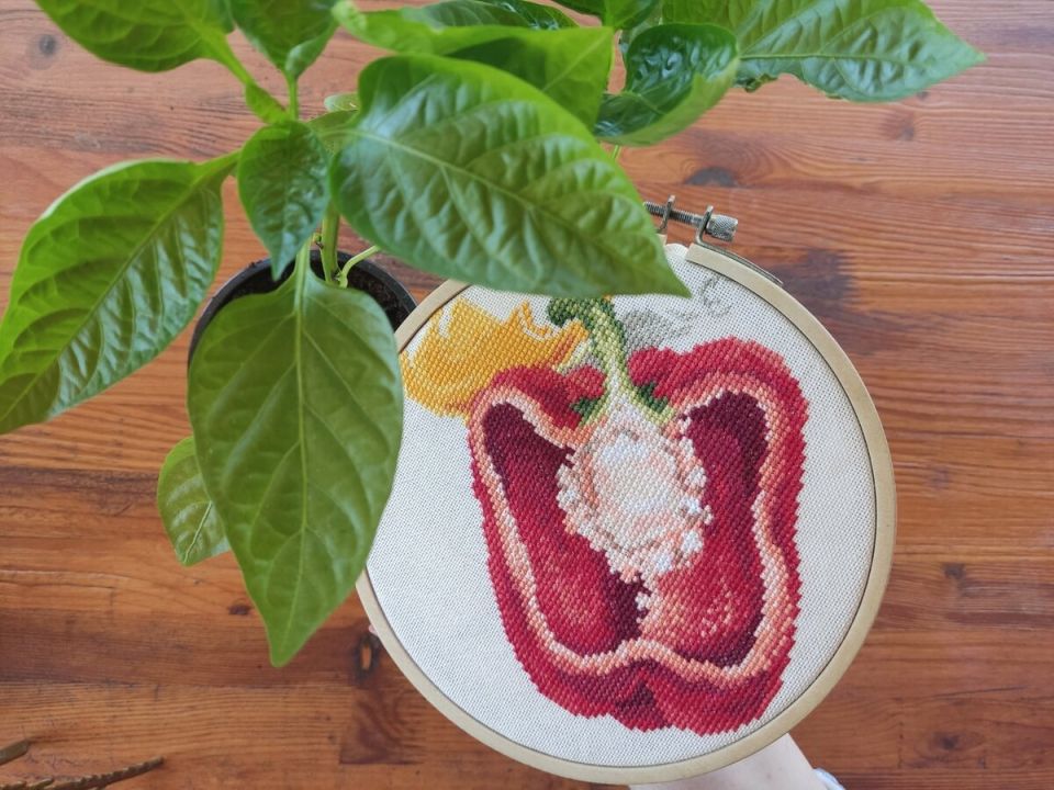 ��� � �������: ���� ���������� ���������� ������ ��� �����