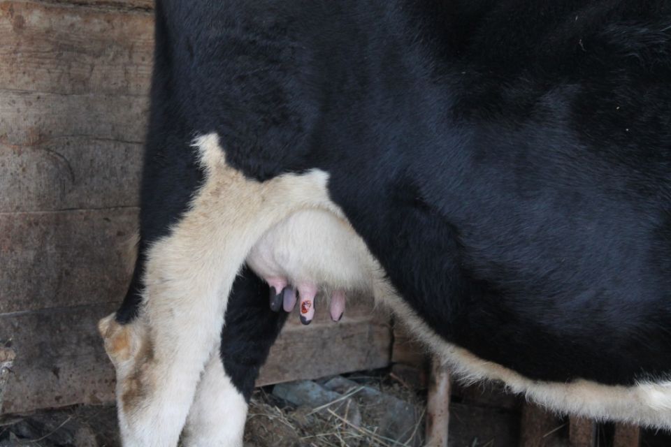 ��� ��������� ������ ���� � �������� � �������������������� ��������