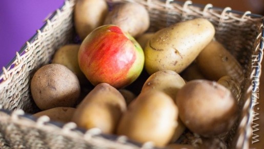 ����� ������� ��������: ��������� � ������ ��� ���������