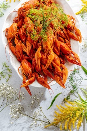 ����� ����� �������� � ������ ���� ����� ��������� ����-�� ��������