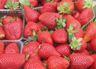 ������������ ���� �� ���������: ������� ���������� � ����