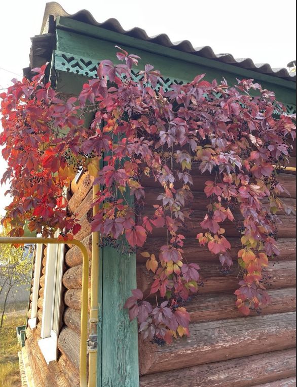 ������� ��������: ������� �������� ��� ���������� ����� � ����?