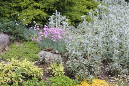 ������: ��������� ���� � ��� �� ������������ � ����� ����