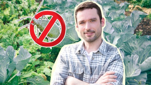 ��� ������ �� ������� � ����� �������: ��� ��� ����� ���������� ������