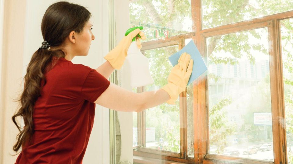 ���� ������ ���������� ����� ������ ������: ������������� ���������� ��������