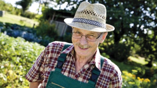 �� ����� ������� ������ � ������ ������: ������� ������� ����� ���������� ���� ���������