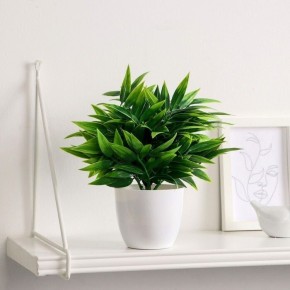 7 ������� ����� � ����� ����������� ���������