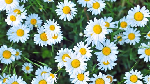 ������� ������� �� ����� �����