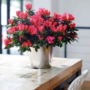 ������: ������ ����������� �� �����, ����������� � ������ � ��������� ��� ������ �������� � ����� ����!