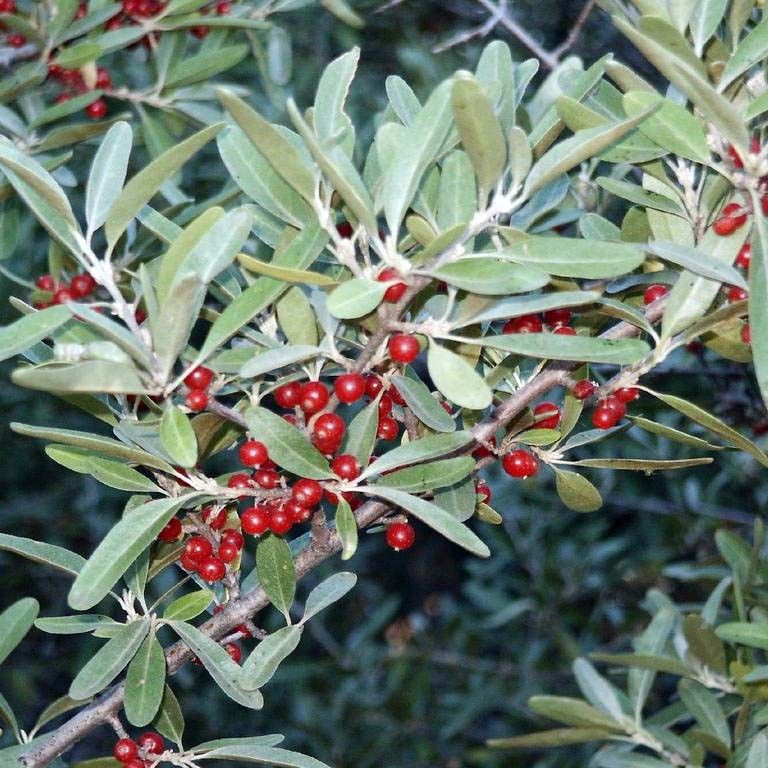 ��������: �����, ������� ������ ��� ����� �������