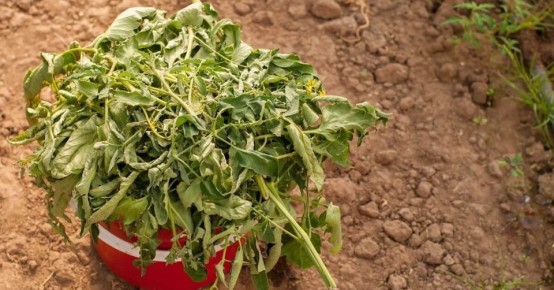 ��� ����� ����� ����� ������ ����� ����������� ��� ������