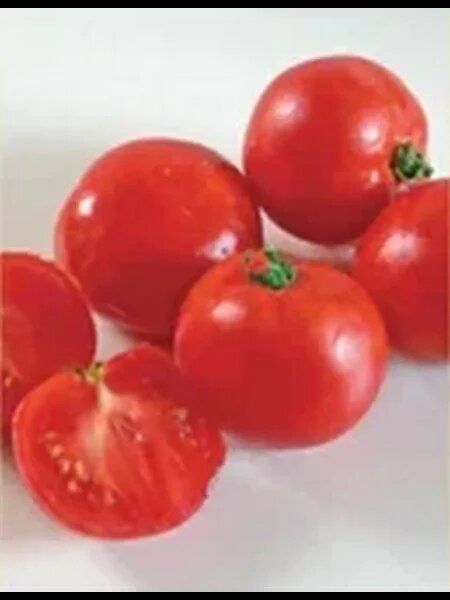 ����� �������: ������ ���������� � �������� � �����