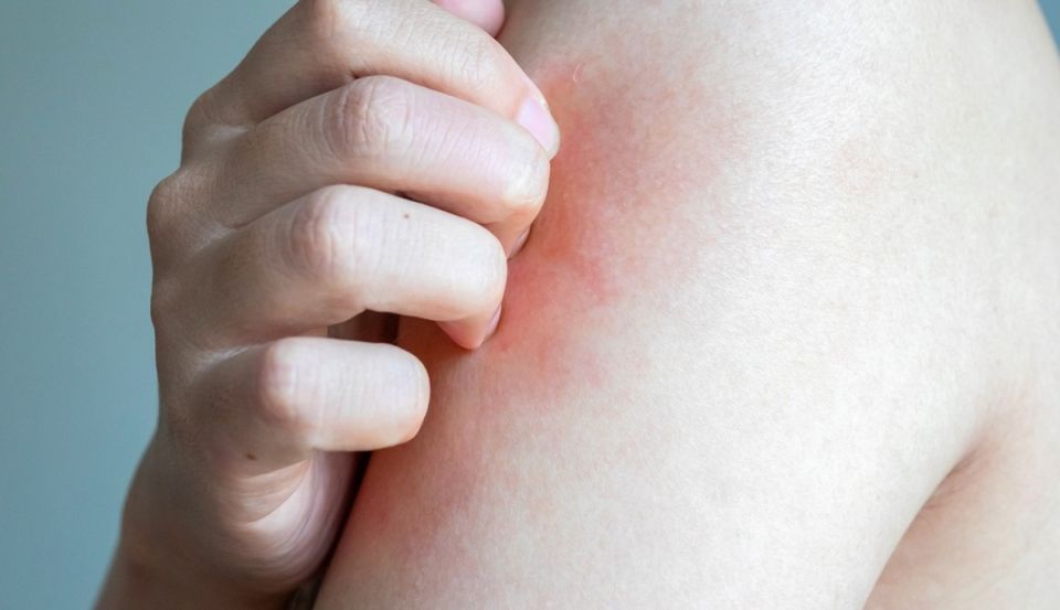 ����� ��� ����� ���� ������������� � ��������� ��������� �� ���������