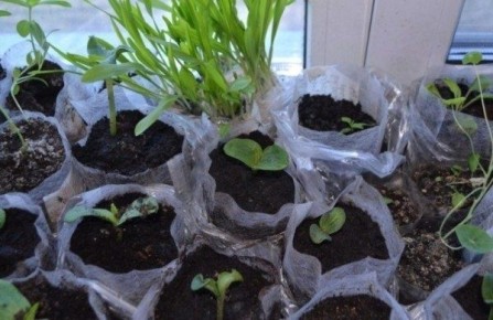 ����������� ������� � ������ ���������: ���������� ������ ��� ��������� ����