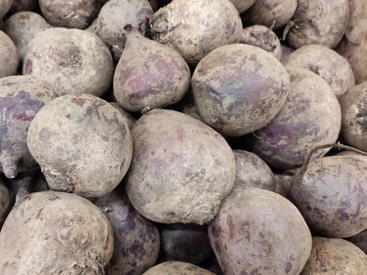 ������� ��������� �������: ��� ��������� ������ �� �����������