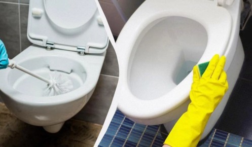 ������� ������ �� ��������� ������: ���������� ����� �������