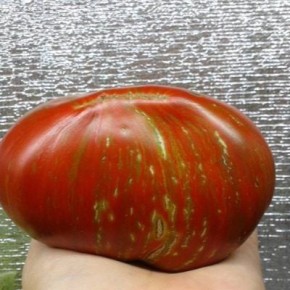 �������� � ���������: �� ��� �������� ���� "�������� �����"?